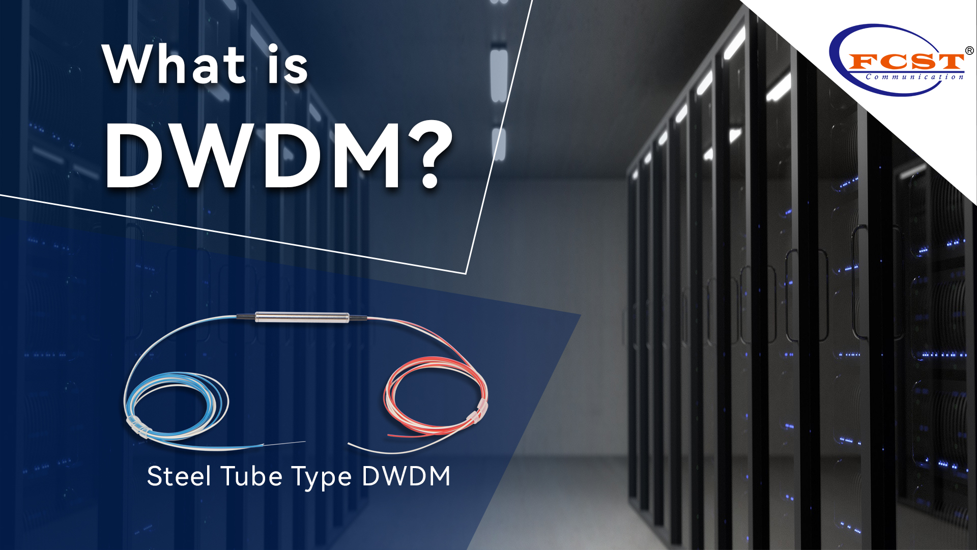 What is DWDM?