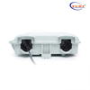 1 In 1 Out FTTH box factory